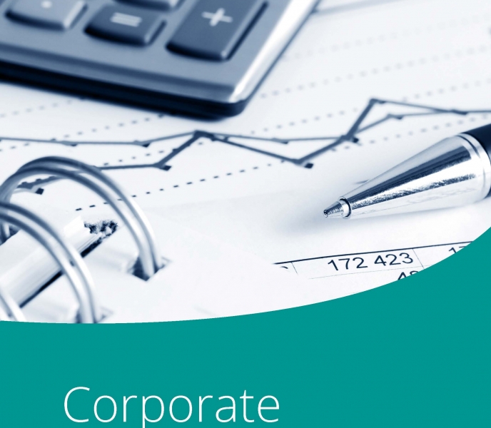 ICLEI Corporate Report 2014