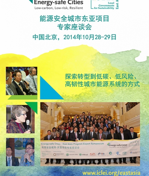 Energy-safe Cities East Asia Program Expert Symposium Report (Chinese)
