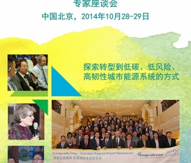 Energy-safe Cities East Asia Program Expert Symposium Report (Chinese)