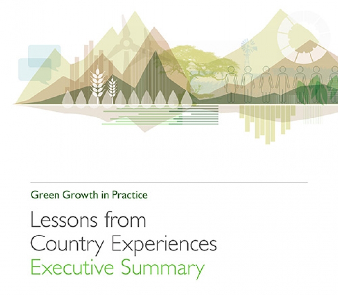 Green Growth in Practice Lessons from Country Experiences (Executive Summary)