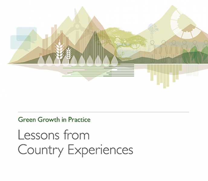 Green Growth in Practice Lessons from Country Experiences