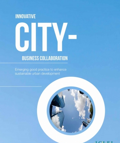 Innovative city-business cooperation: Emerging good practice to enhance sustainable urban development