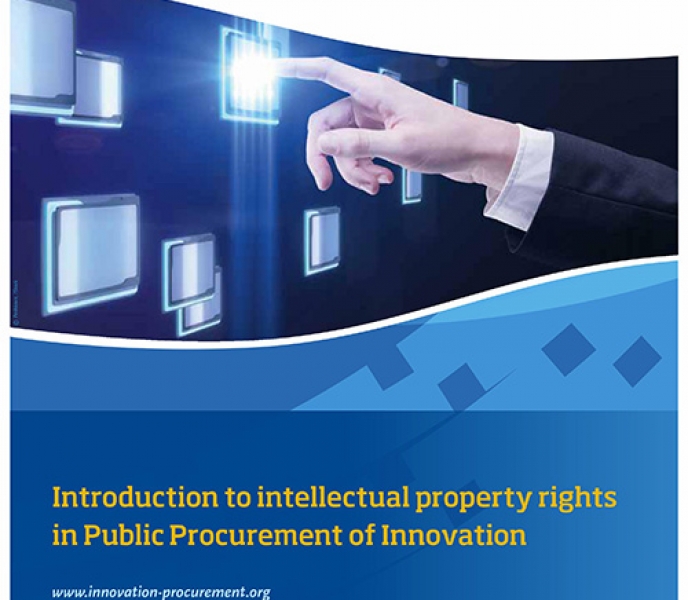 Intellectual Property Rights Guide