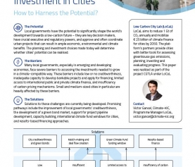 Low-Carbon Investment in Cities