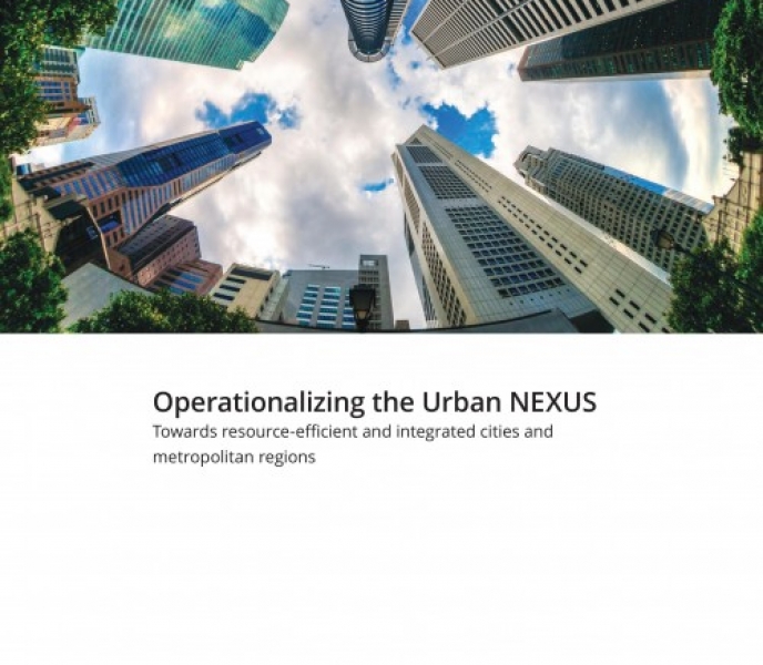 Operationalizing the Urban NEXUS: towards integrated and resource-efficient cities and metropolitan regions