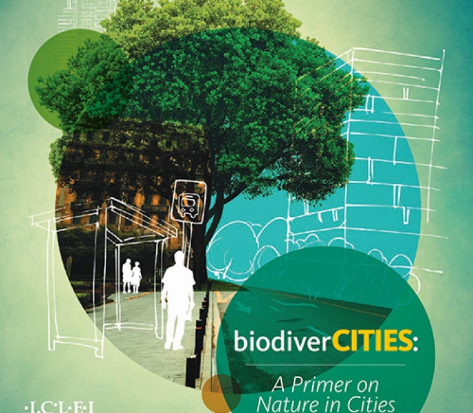 biodiverCities: A primer on nature in cities