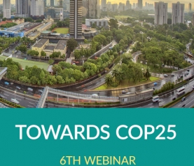 Towards COP25 – 6th webinar for local and regional governments