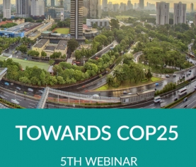 Towards COP25 – 5th webinar for local and regional governments