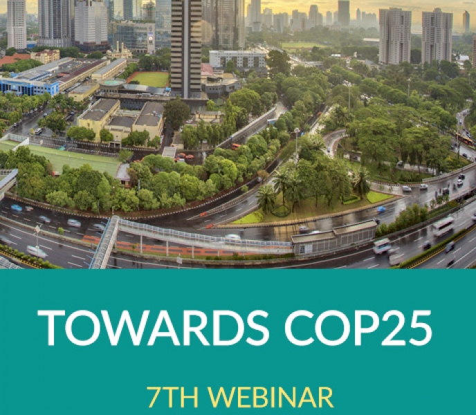 Towards COP25 – 7th webinar for local and regional governments